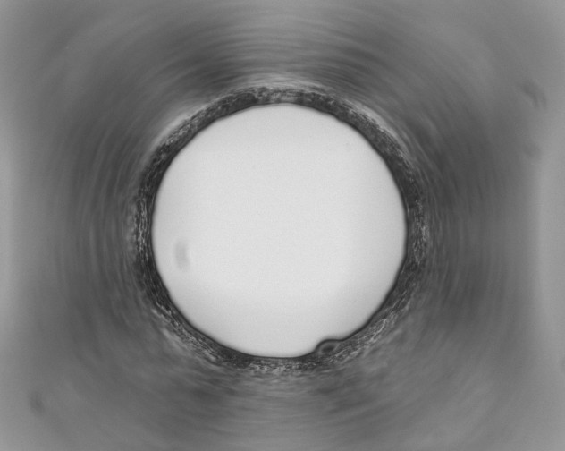 X0000110980775200907171731