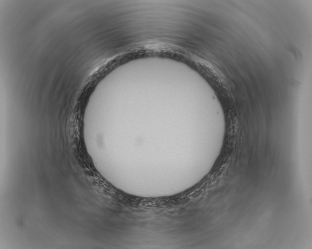 X0000110980776200907171731