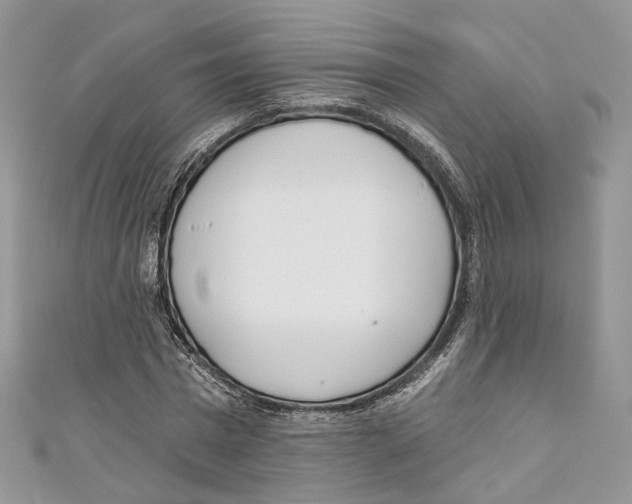X0000110980777200907171731
