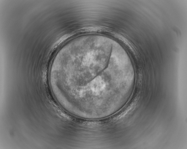 X0000110980778200907171731