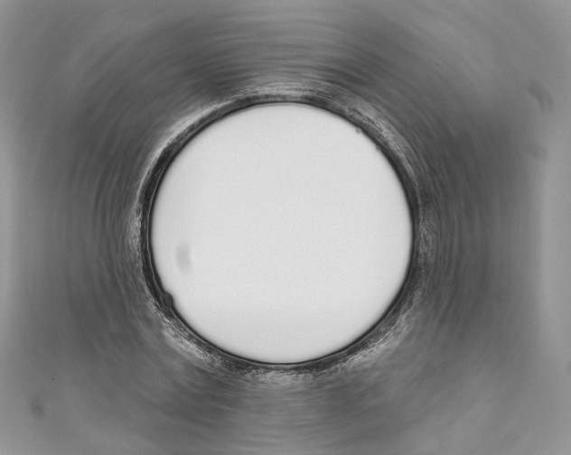 X0000110980779200907171731
