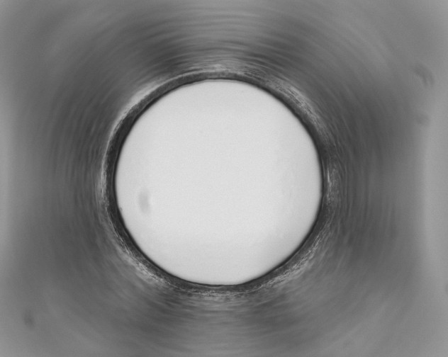 X0000110980780200907171731