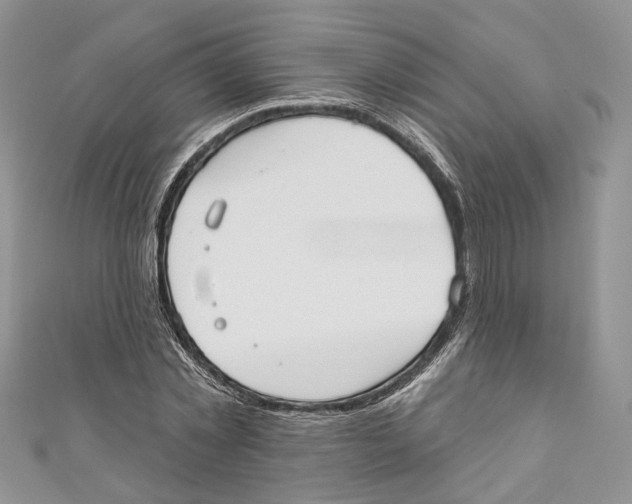 X0000110980781200907171730
