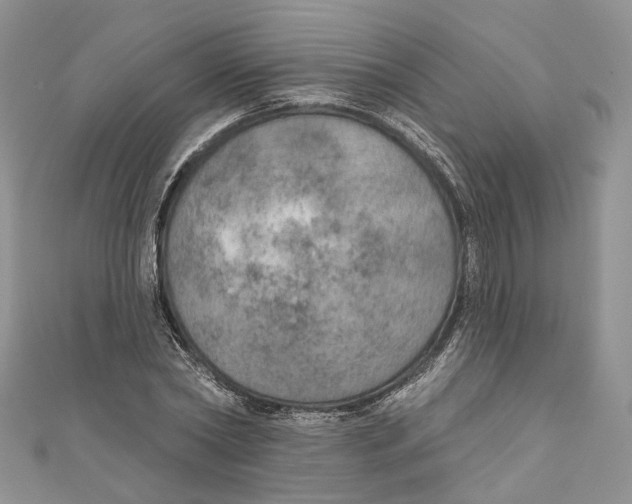 X0000110980782200907171730