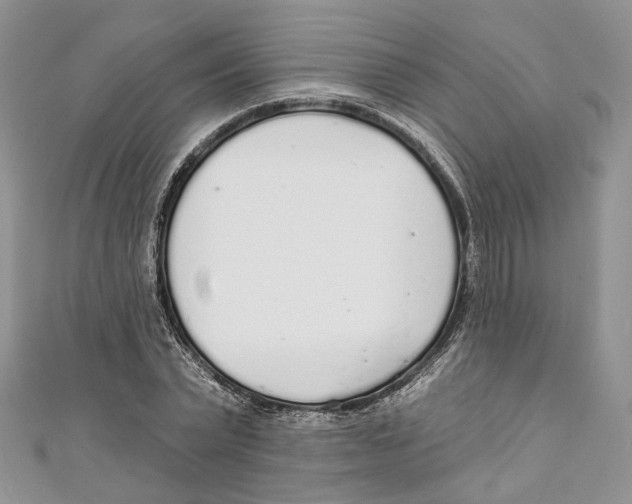 X0000110980783200907171730