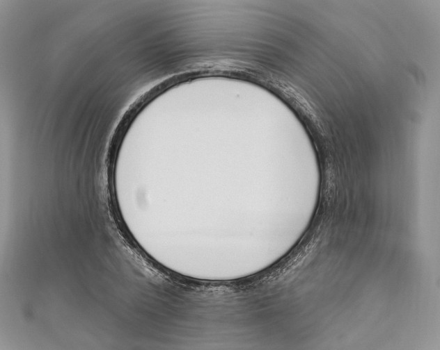 X0000110980784200907171730