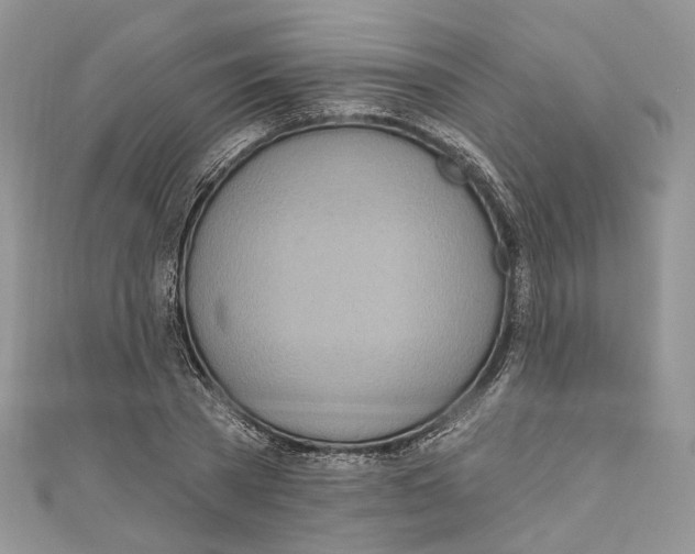 X0000110980785200907171730
