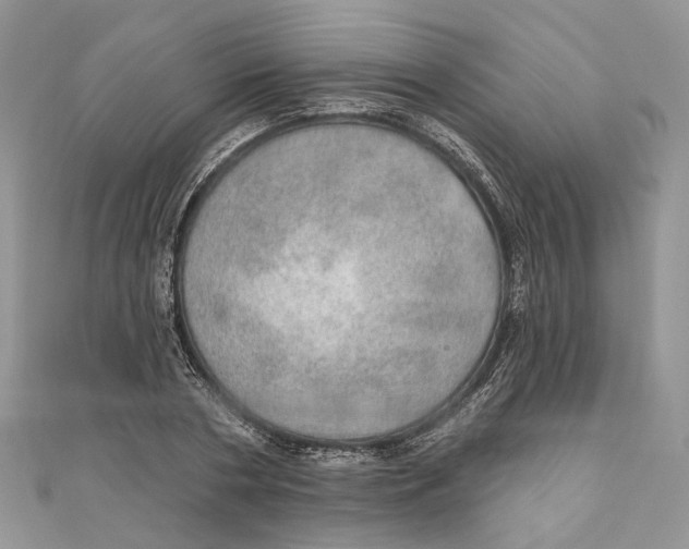 X0000110980786200907171730