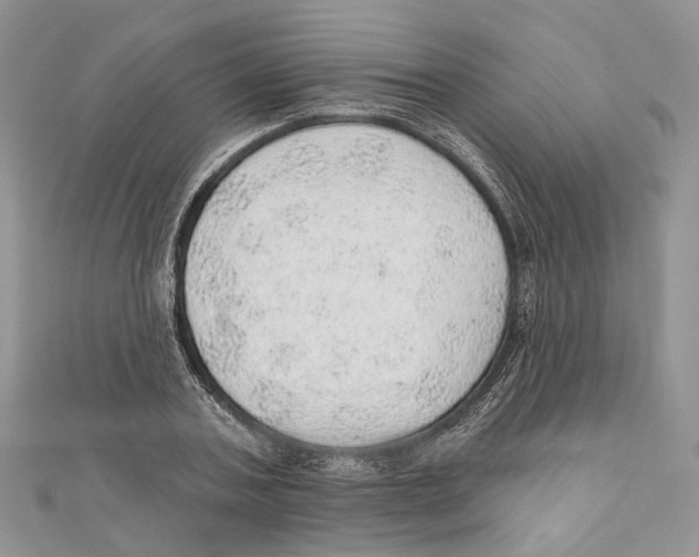 X0000110980787200907171730