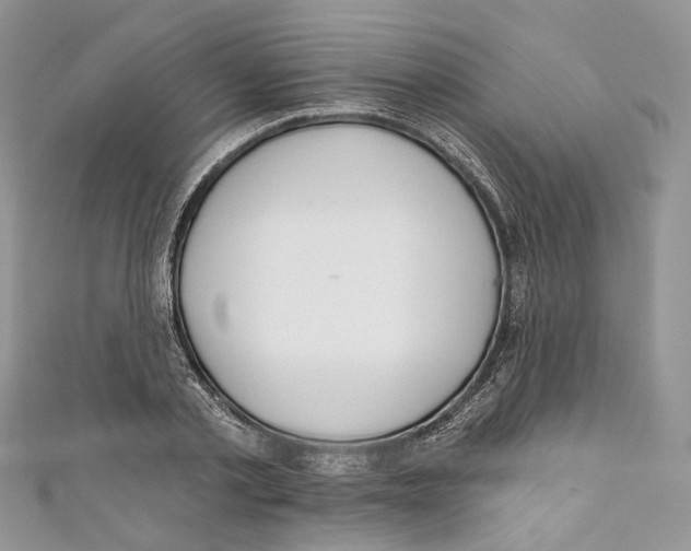 X0000110980789200907171730