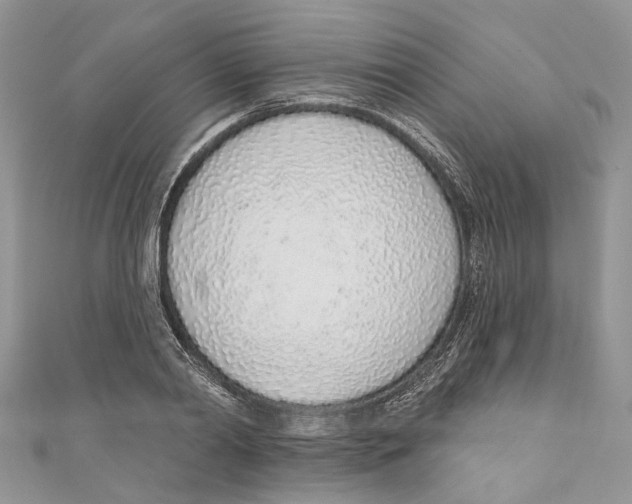 X0000110980790200907171730
