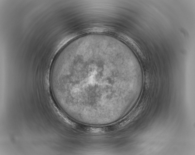 X0000110980794200907171730