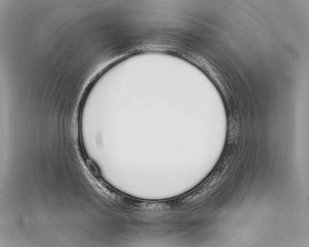 X0000110980795200907171730