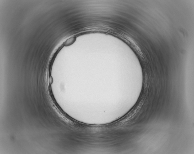 X0000110980796200907171730