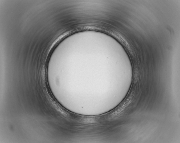 X0000110980798200907171730
