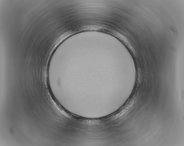 X0000110980802200907171730