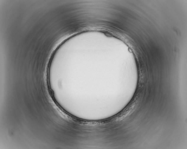 X0000110980803200907171730