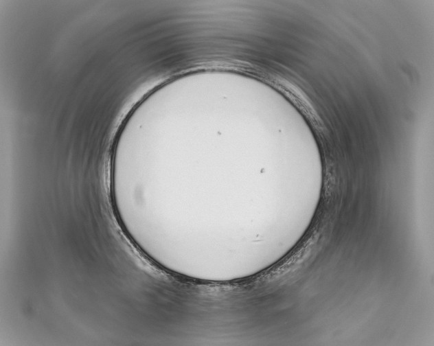 X0000110980804200907171730