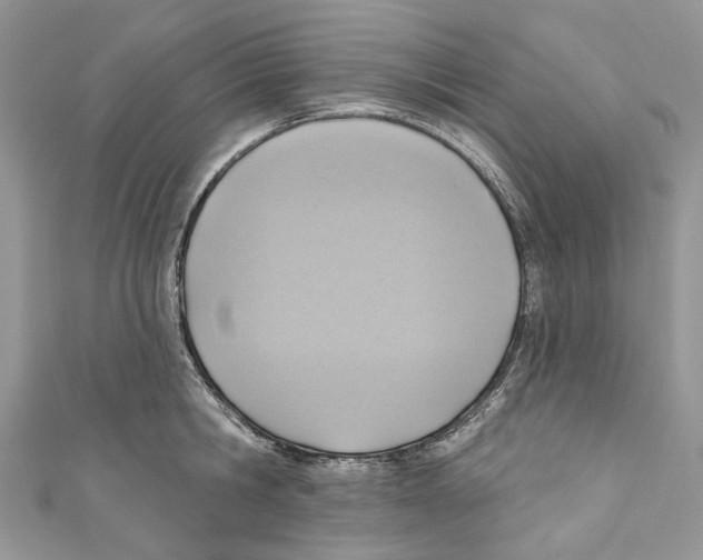 X0000110980806200907171730