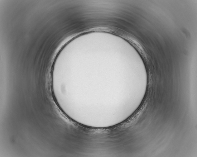 X0000110980808200907171730