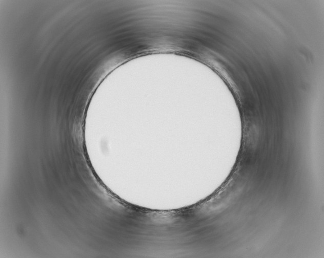 X0000110980810200907171730