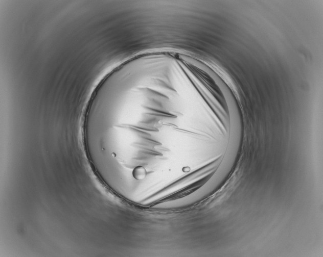 X0000110980813200907171730