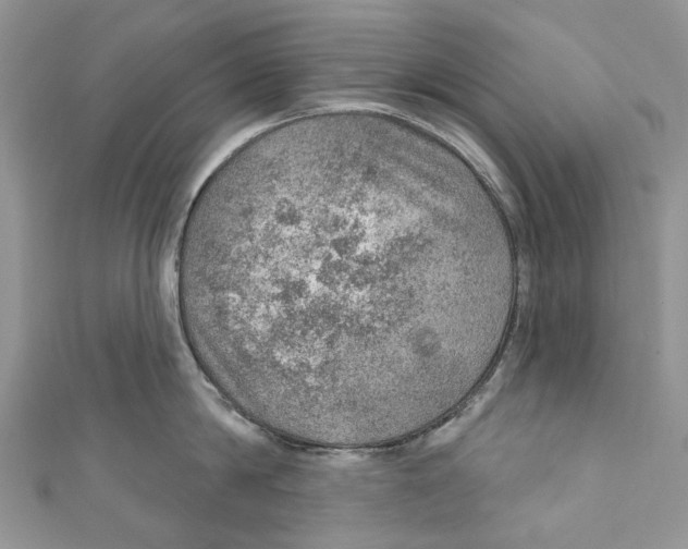 X0000110980814200907171730