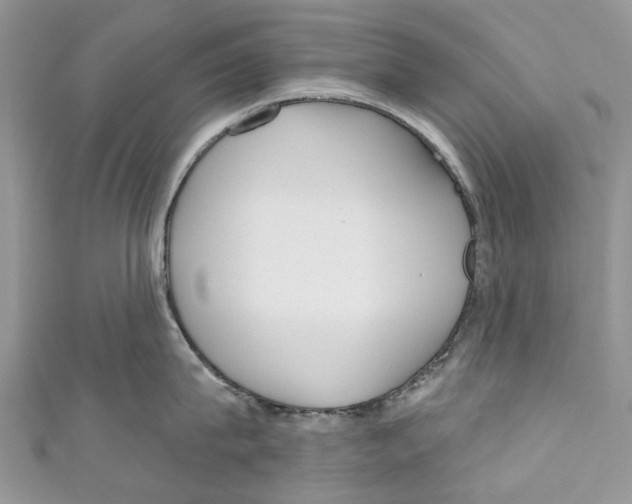 X0000110980815200907171730