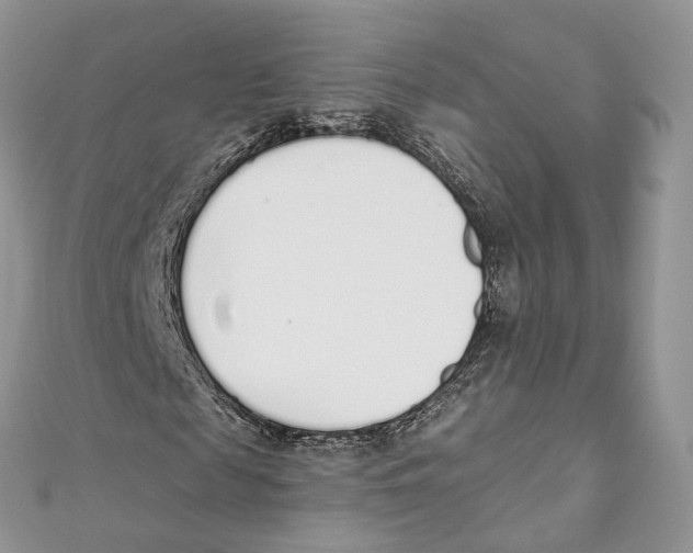 X0000110980817200907171729