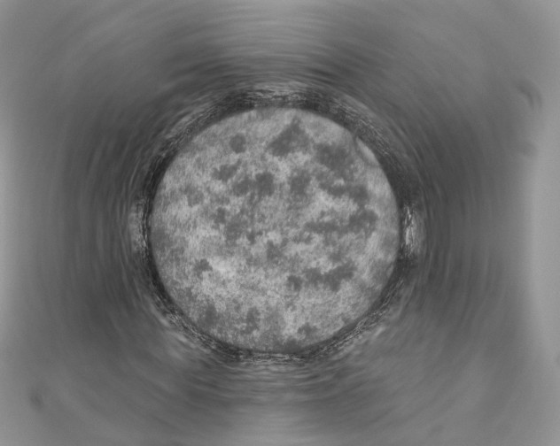 X0000110980819200907171729