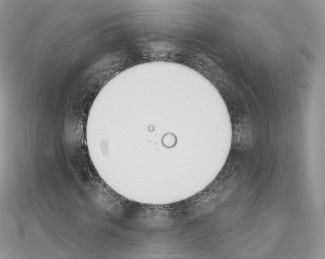 X0000110980820200907171729