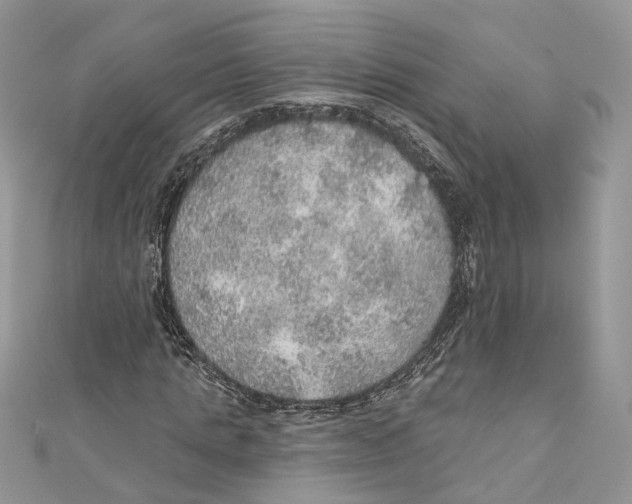 X0000110980821200907171729