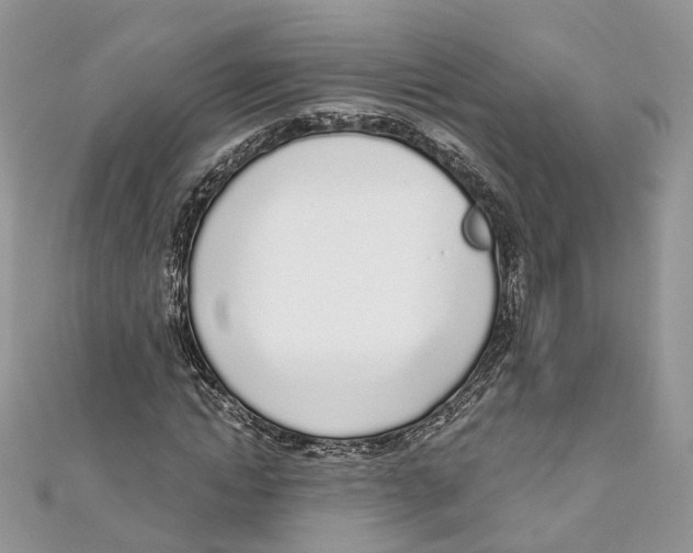 X0000110980822200907171729