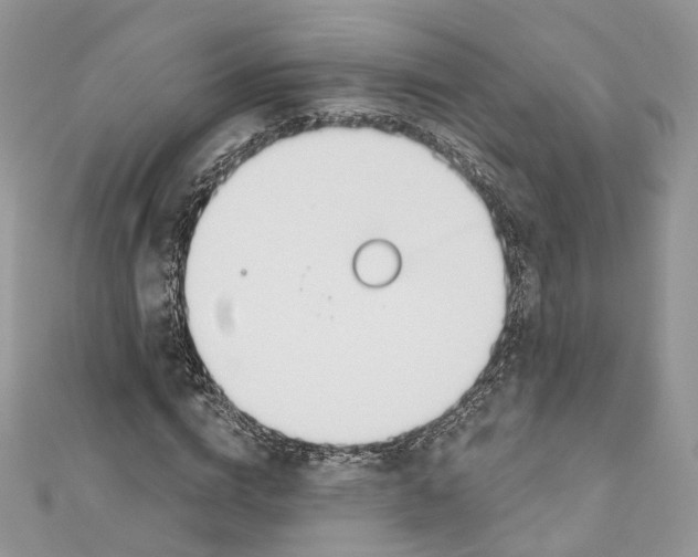 X0000110980824200907171730