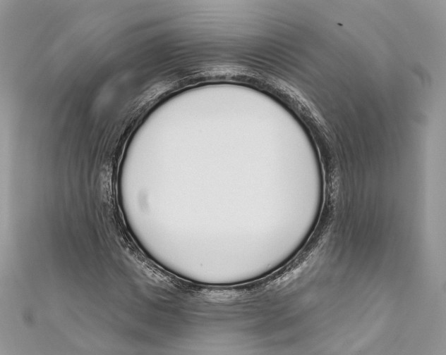 X0000110980825200907171730