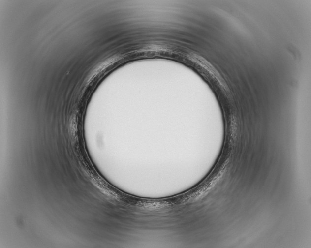 X0000110980826200907171730