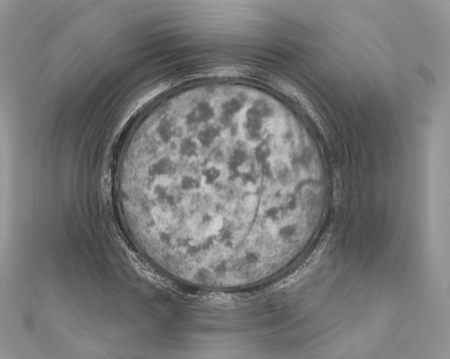 X0000110980827200907171730