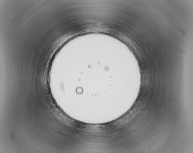 X0000110980828200907171730