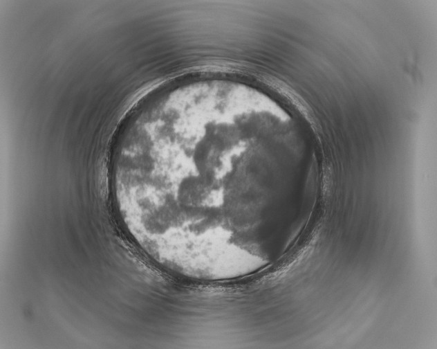 X0000110980829200907171730
