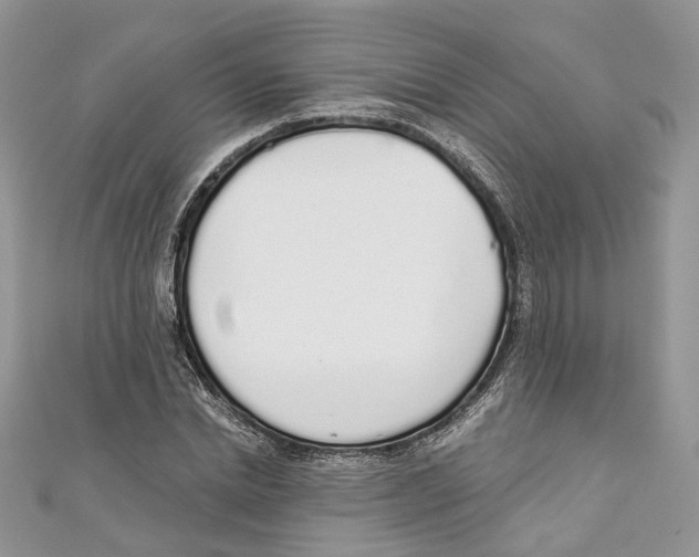 X0000110980830200907171730