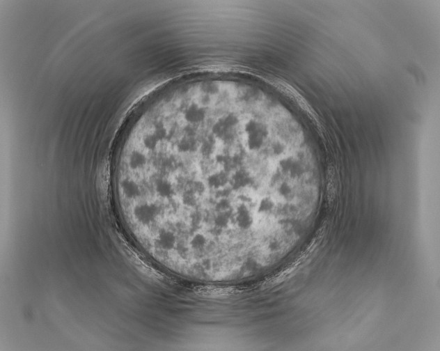 X0000110980831200907171730