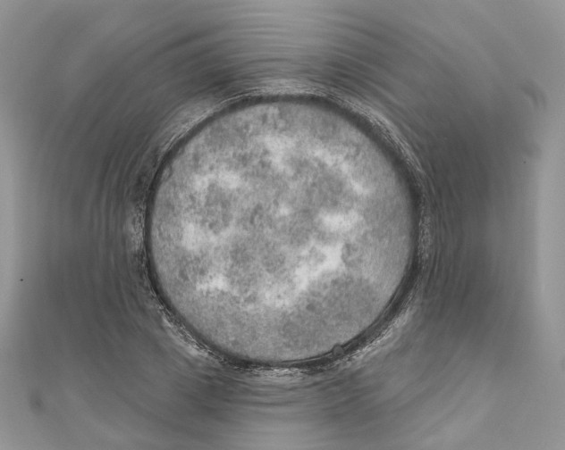 X0000110980833200907171730