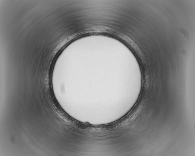 X0000110980834200907171730
