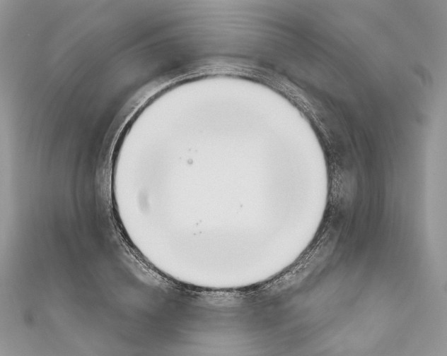 X0000110980836200907171730