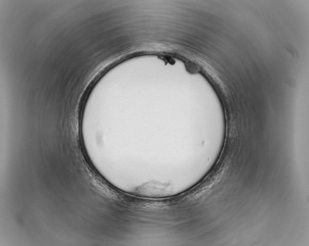 X0000110980837200907171730