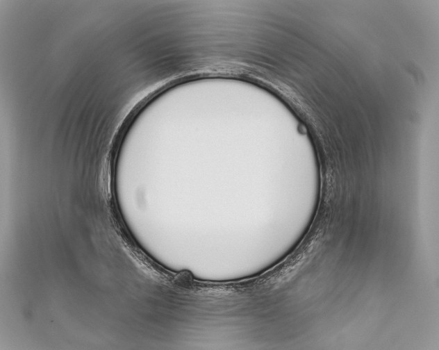 X0000110980838200907171730