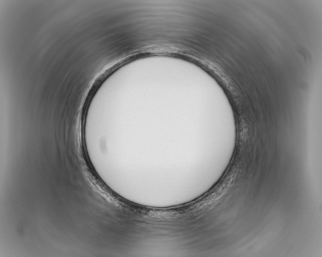 X0000110980840200907171730