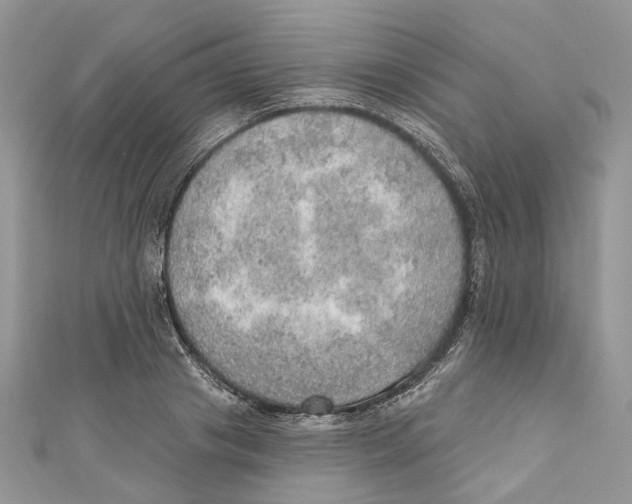 X0000110980841200907171730