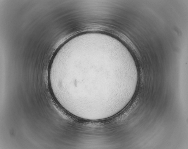X0000110980842200907171730
