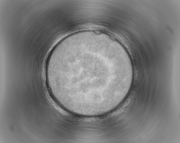X0000110980843200907171730